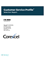 Customer Service Profile