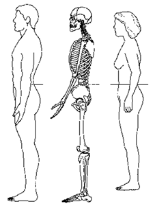 Measuring Waist Circuference