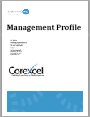 DiSC Management Profiles