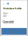 DiSC Workplace Profiles
