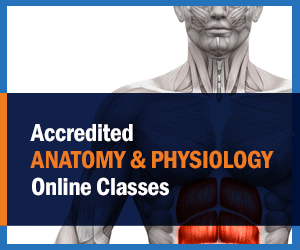 Accredited anatomy & physiology online classes