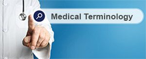 Search Medical Terminology FAQs